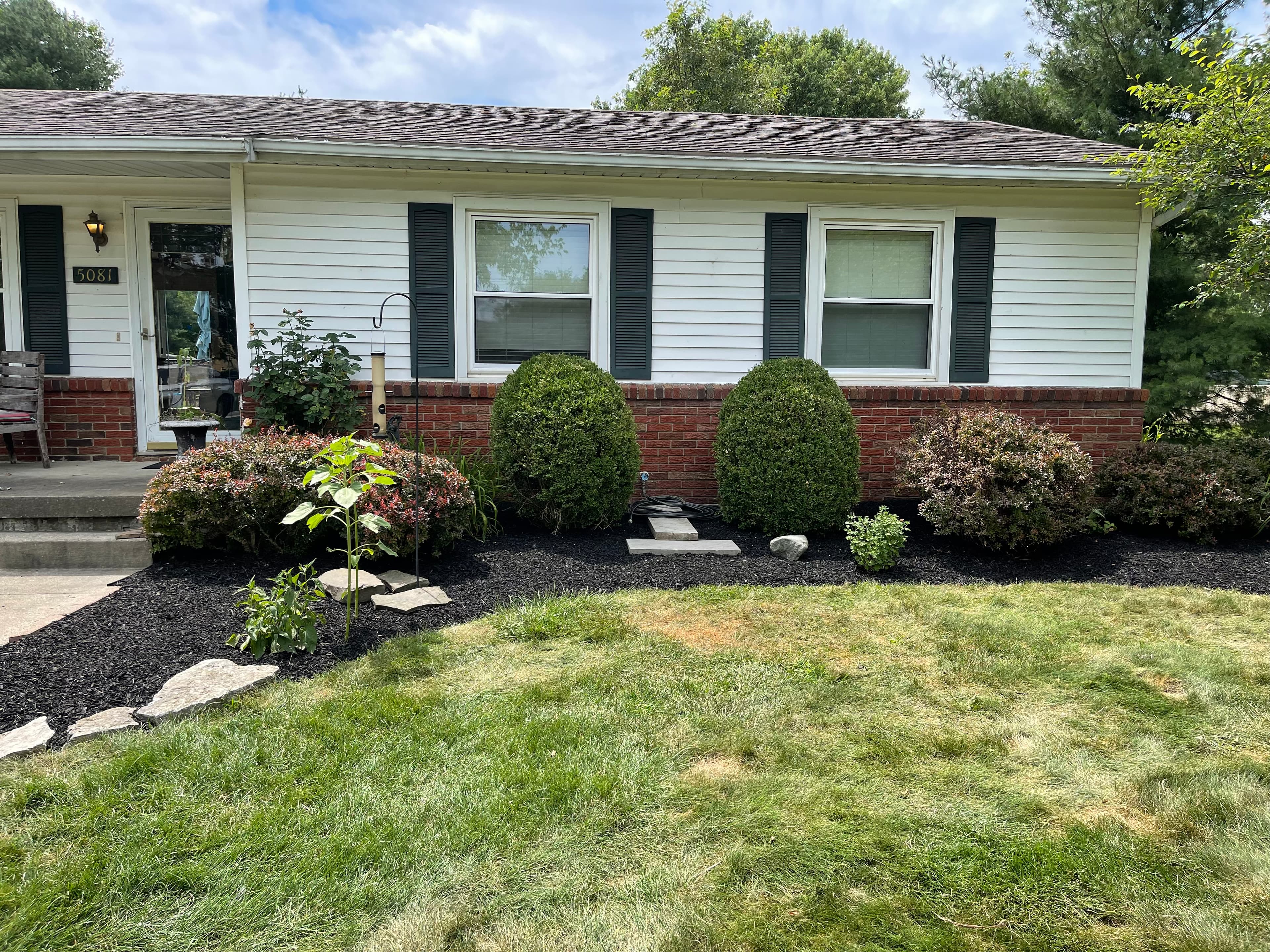 Tree-Trimming & Removal