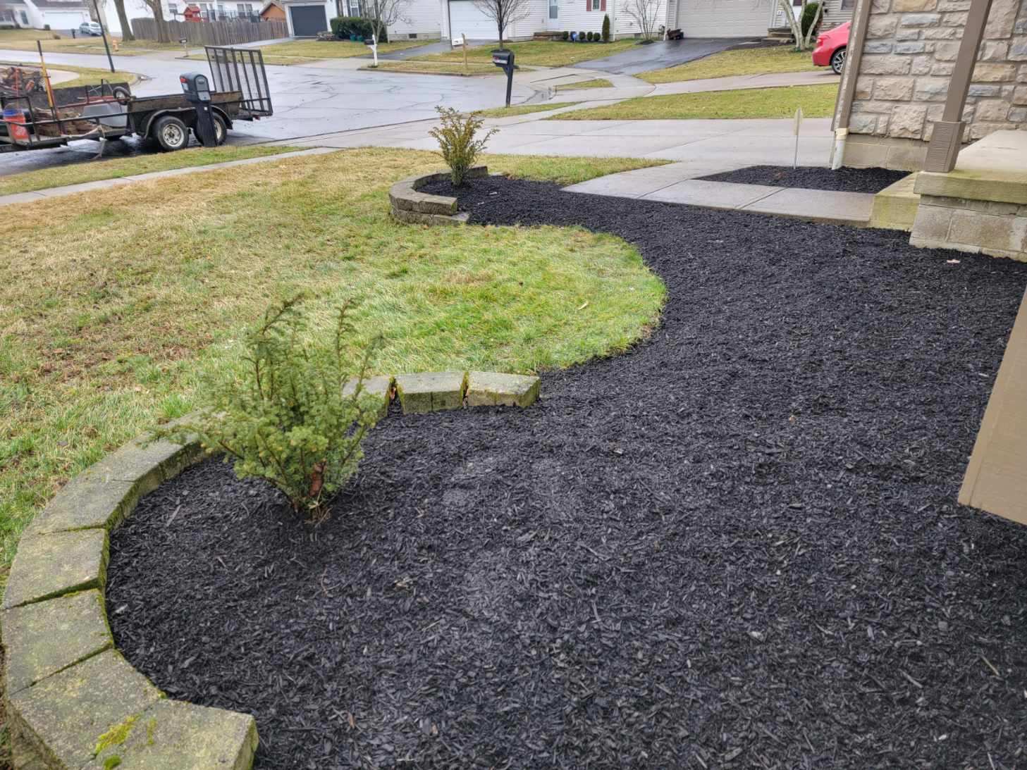 Garden Bed Renovation